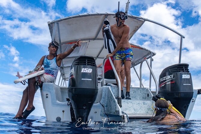 Snorkeling Safari Moorea (Half Day Tour) - What the Tour Actually Provides, and What You Must Bring