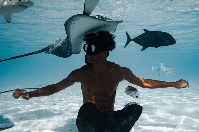 Snorkeling Safari Moorea (Half Day Tour) - Where You Meet and How Pickup Affects Your Day