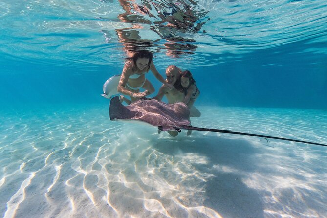 Snorkeling Tour in Moorea Aquatic Adventure Half Day - Moorea Half-Day Snorkeling That Keeps It Personal (Ultra Reef)
