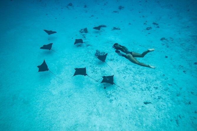 Snorkeling Tour in Moorea Aquatic Adventure Half Day - Snorkeling Equipment and the Small Comfort Details That Matter