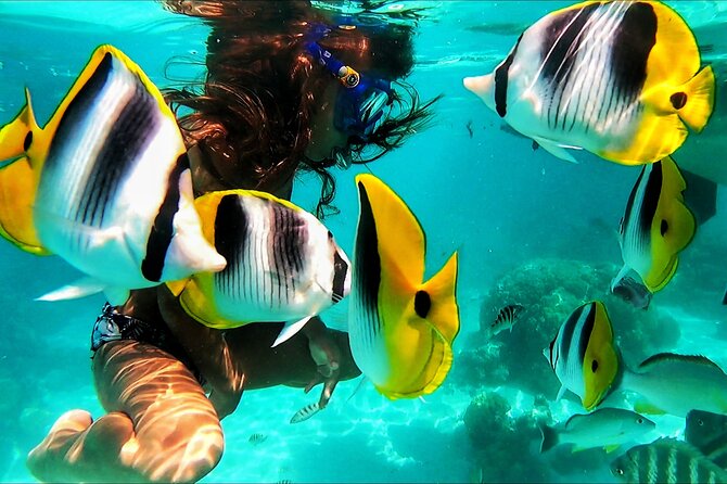 Snorkeling Tour in Moorea Aquatic Adventure Half Day - Who Should Book This Moorea Snorkeling Tour