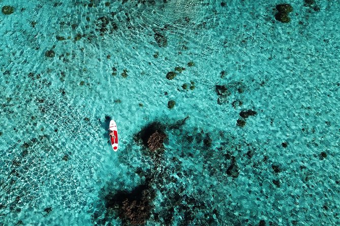 Stroll out of time on the lagoon of Bora Bora - How the Route Changes: Wind-Friendly Runs or Reef Viewing