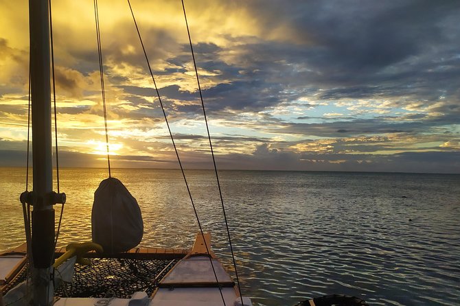 Sunset sailing - Wildlife watching in the lagoon: turtles, sharks, and rays when conditions line up