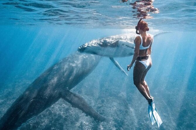 Swim in Moorea with Humpback Whales and More - Guides Robert and Mareva: why the team can make the day