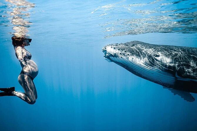 Swim in Moorea with Humpback Whales and More - Boat start in Moorea-Maiao: pickup, meeting point, and how the timing feels