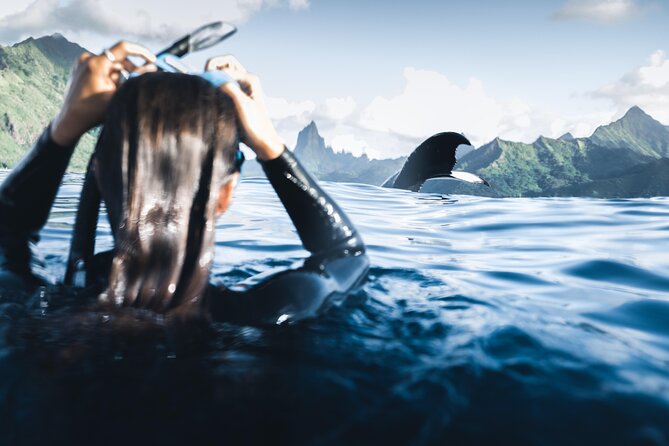 Swimming with Whales in Moorea (Half Day tour) - Swimming with whales in Moorea, what makes it special