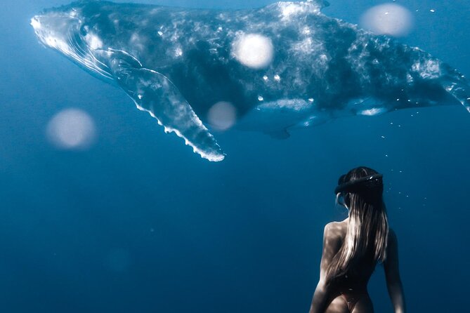 Swimming with Whales in Moorea (Half Day tour) - Who can swim with humpbacks in 2025, and what that means