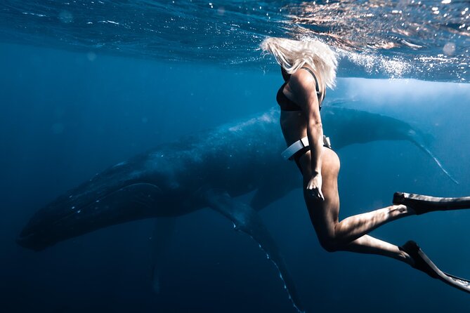 Swimming with Whales in Moorea (Half Day tour) - Life jackets, wetsuits, and a very practical safety detail