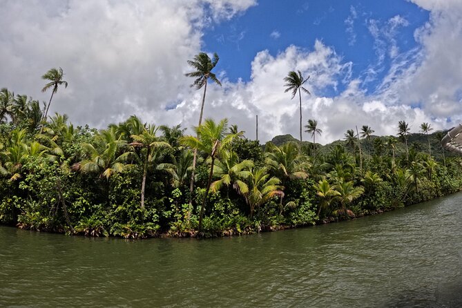 Taha'a Island or Raiatea Boat Tour - Stop 4, Iaorana Pearl Farm and why the guide matters here