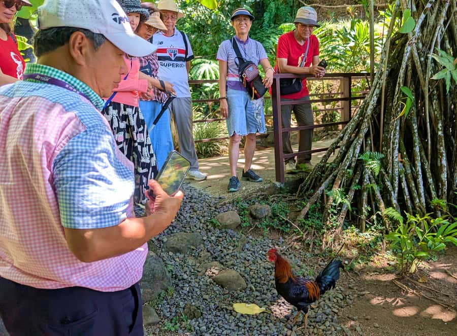 Tahiti Classical Coastal Full Day Private Tour - Why this full-day coastal route makes sense
