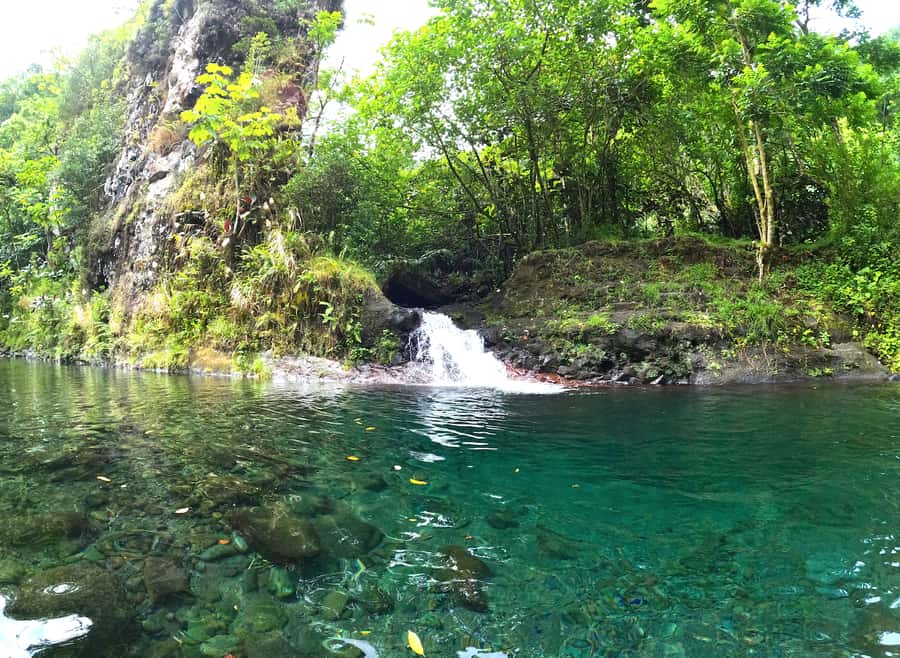 Tahiti E-bike, mtb, vtt Tour with Swimming and Lunch - Key things to know before you go