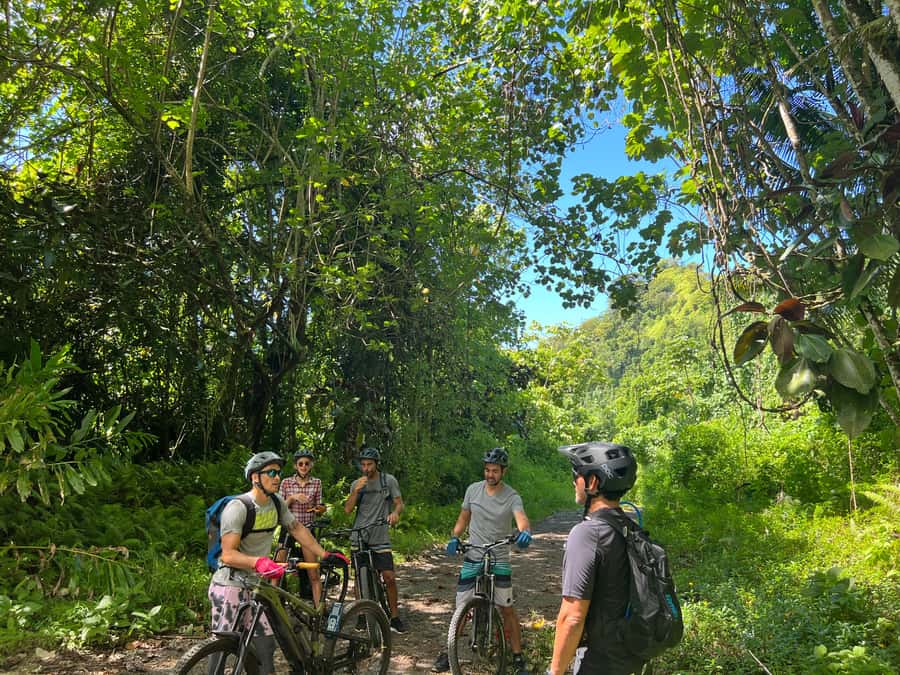 Tahiti E-bike, mtb, vtt Tour with Swimming and Lunch - The Flow of the Half-Day: Pickup, 4x4 Track Climb, and Lunch Where You Want It