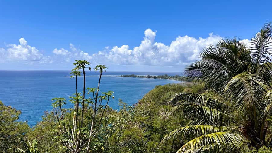 Tahiti: East or West coast tour (Half Day) - East or West Tahiti in four hours: how to choose