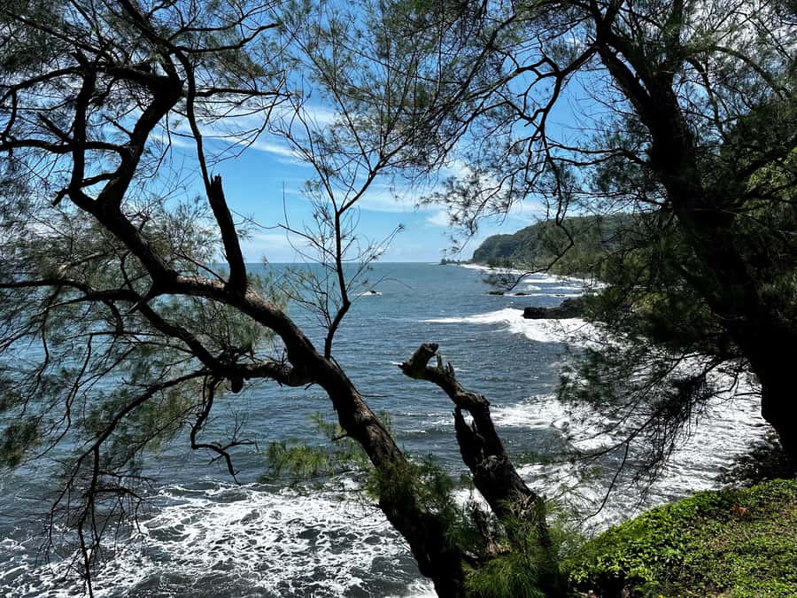 Tahiti: East or West coast tour (Half Day) - East Coast route: Pointe Vénus, cliffs, and waterfalls