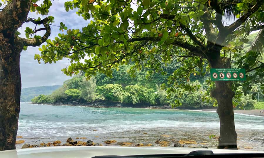 Tahiti: East or West coast tour (Half Day) - What the guide experience feels like: Philippe’s impact