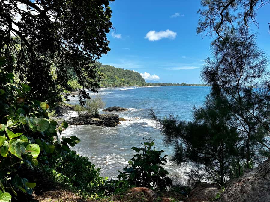 Tahiti: East or West coast tour (Half Day) - The private car setup: comfort that actually matters