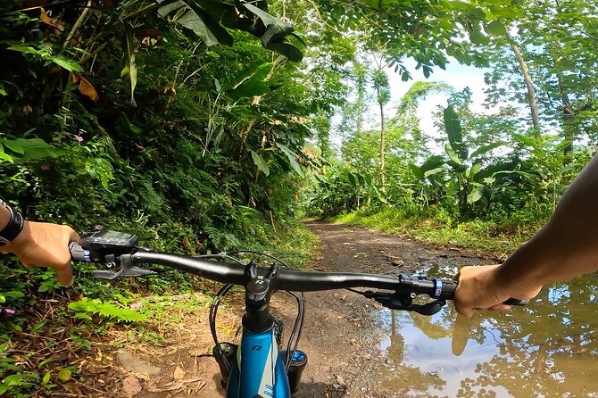 Tahiti excursion adventure circuit MTB MTB E-Bike private valley - Bassin du Roi swimming and black sand lunch stop