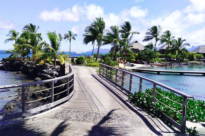 Tahiti Full Day Private Coastal Tour - Stop-by-stop: Papeete to Arahurahu marae, where you start to understand Tahiti