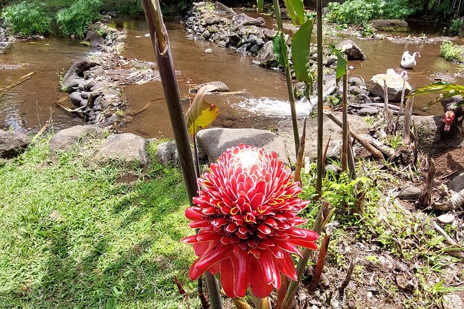 Tahiti Full Day Private Coastal Tour - Lunch at the Paul Gauguin Museum Restaurant, then onward to Taravao viewpoints