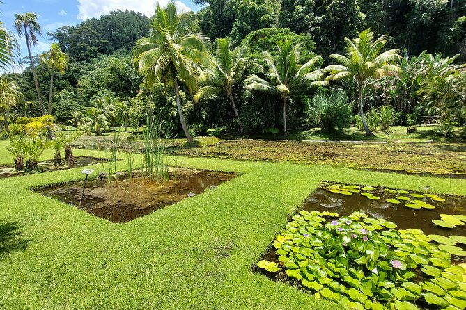 Tahiti Full Day Private Coastal Tour - Your guide is not a background character