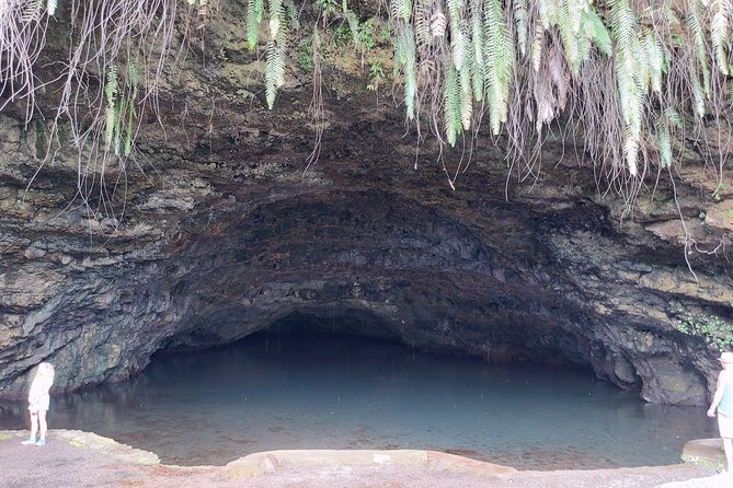 Tahiti Half Day Coastal Private Tour - Stop-by-Stop Route: From Arahurahu Marae to Point Venus