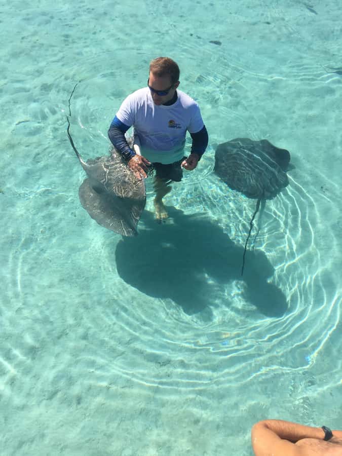 Tahiti island: 4 hours Snorkeling Tour - Key points before you book