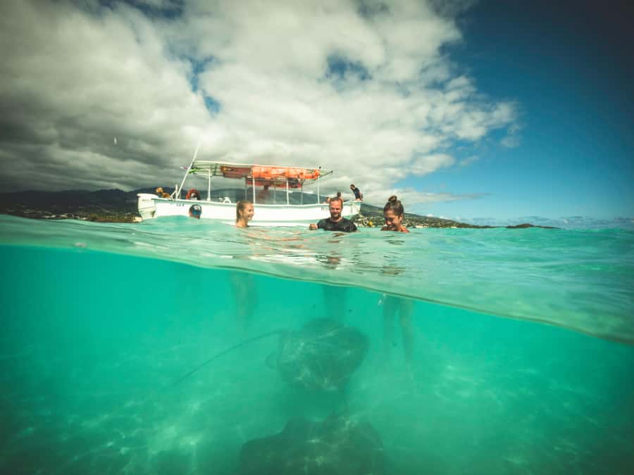 Tahiti island: 4 hours Snorkeling Tour - Freshwater springs and the coral garden: a second swim with a different feel