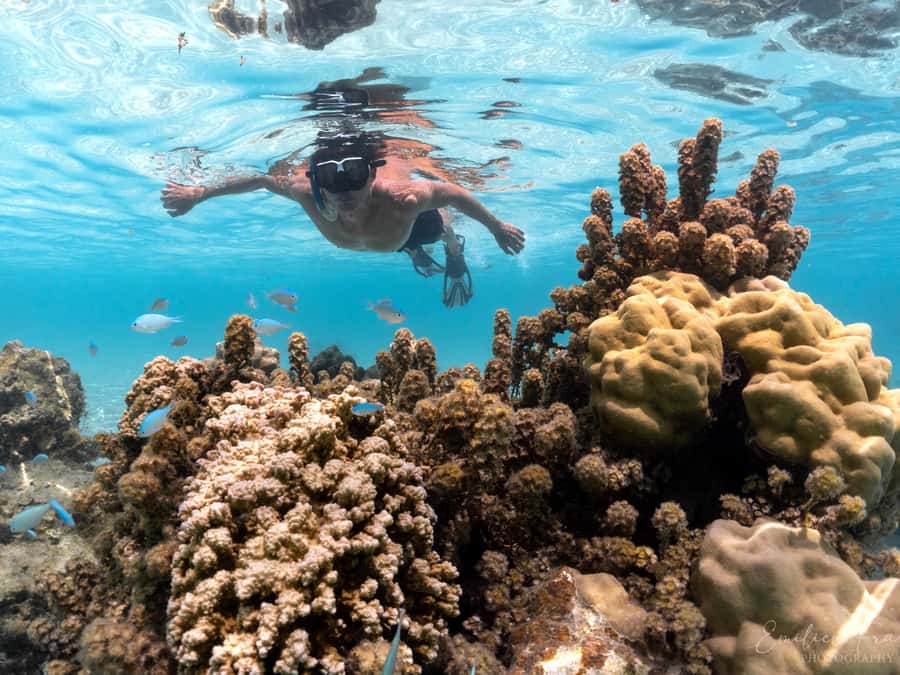 Tahiti island: 5 hours Snorkeling Picnic - The Aquarium site: wrecks, a coral heart, and a plane in the sand