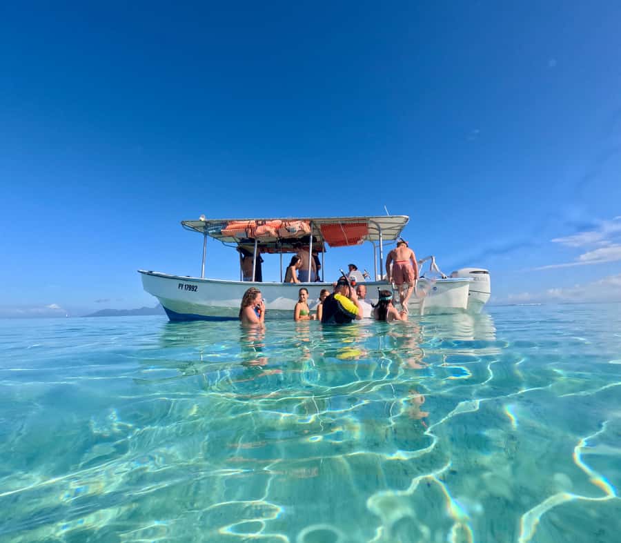 Tahiti island: 5 hours Snorkeling Picnic - Freshwater springs and the coral garden, plus your turtle swim chance