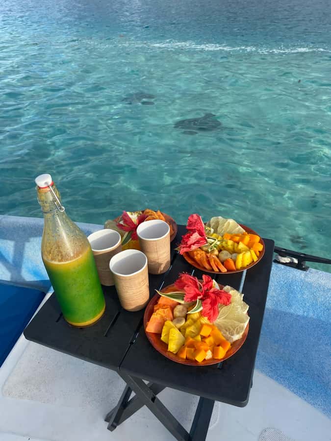 Tahiti island: 5 hours Snorkeling Picnic - Dolphin watching, then your first fins in Tahitian water