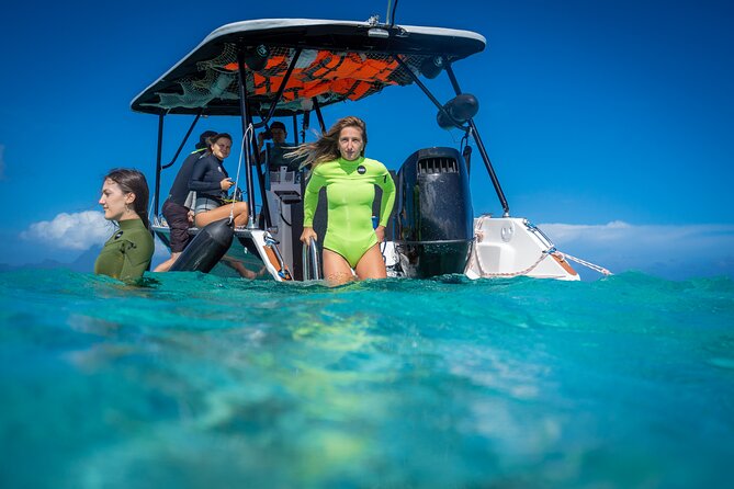 Tahiti Lagoon Snorkeling and Lunch Boat Tour (6 pax max) - Stop 3, Punaauia “Papa Whiskey aquarium”: clarity and color