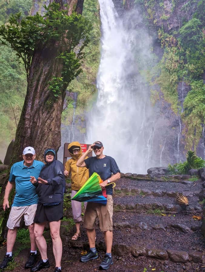 Tahiti: Northeast Coast Waterfalls&Viewpoints Half Day Tour - Key highlights you should care about