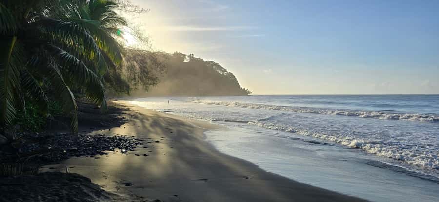 Tahiti: Northeast Coast Waterfalls&Viewpoints Half Day Tour - Faarumai Waterfall: a short forest walk to big water power