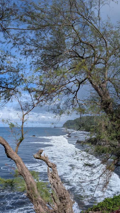 Tahiti: Northeast Coast Waterfalls&Viewpoints Half Day Tour - Tahara’a Lookout: the final viewpoint over Matavai Bay and Papeete