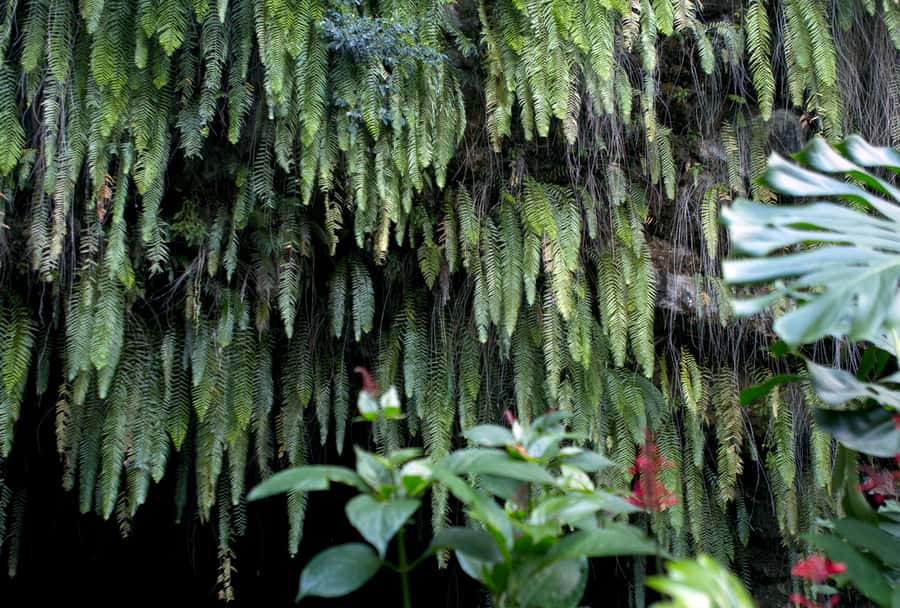 Tahiti: Private Half Day Culture and Nature Highlights Tour - Key highlights worth planning for