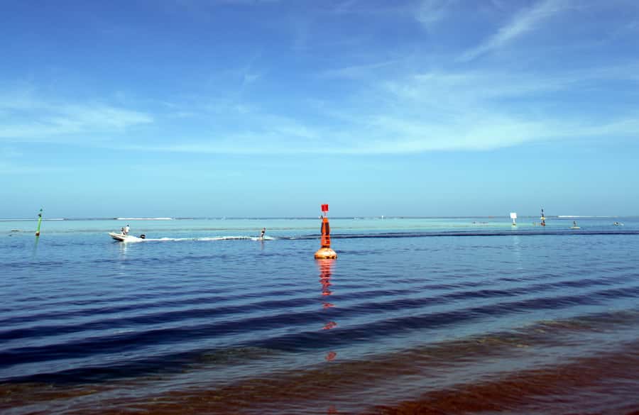 Tahiti: Private Half Day Culture and Nature Highlights Tour - A five-hour Tahiti sampler built around gardens, temples, and coastal drama