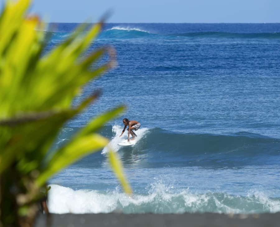 Tahiti: Private Half Day Culture and Nature Highlights Tour - Vaipahi Water Gardens: where the senses slow you down for a moment