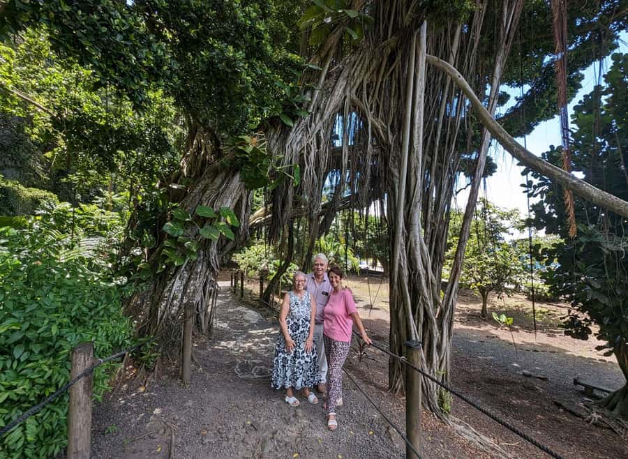 Tahiti Private Half Day Tour. Nature, history and culture - Fa’arumai Waterfalls, nearly 300 feet of mist and ferns