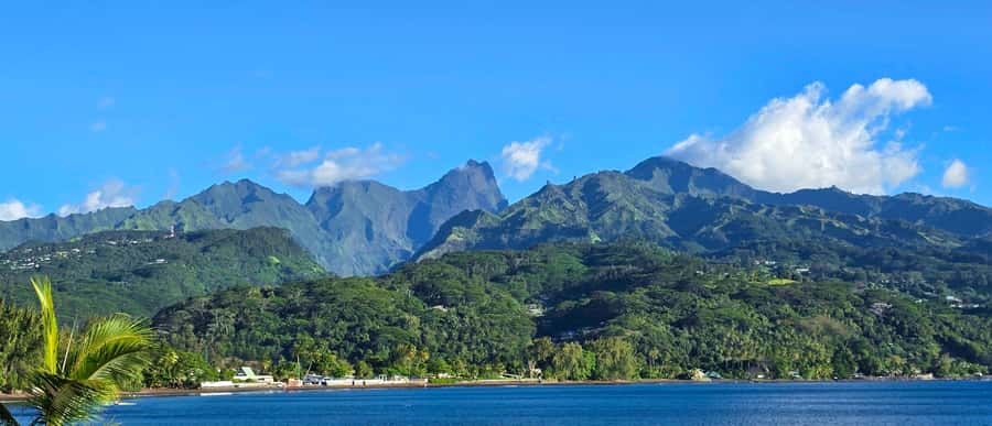 Tahiti Private Half Day Tour. Nature, history and culture - Getting around Tahiti in a comfortable, small van