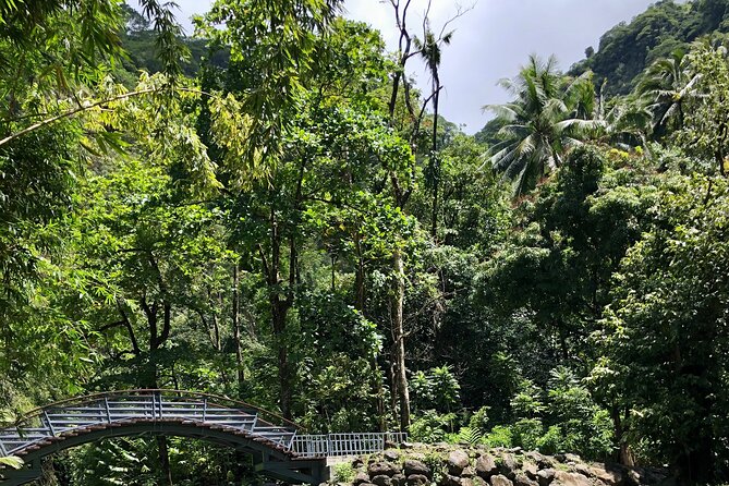 Tahiti: Tour of the East or West Coast (Half Day) - East Coast stops in a half-day: Pointe Venus, blowhole, waterfalls, and Tahara’a views