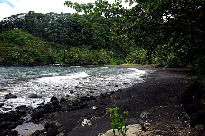 Tahiti: Tour of the East or West Coast (Half Day) - West Coast stops that mix culture, caves, beaches, and Vaipahi Water Gardens