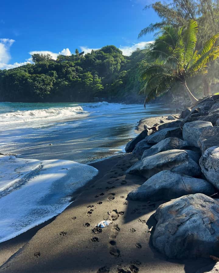 Tahiti: Unique East Coast Half Day Tour with Local Guide - Papeete Start: Market Stops, President’s Palace Exterior, and Street Art
