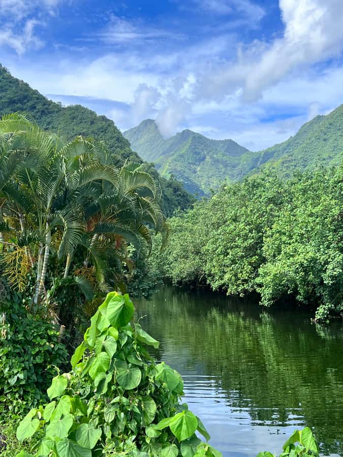 Tahiti: Unique Full Day West Coast, Combo Tour to Teahupoo - Teahupoo from shore, plus the optional wave-boat ride ($30)