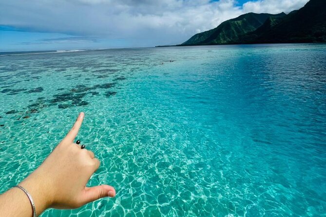 Teahupoo Olympic Wave Journey - Vaipahi Water Gardens: flora, a waterfall moment, and a snack break