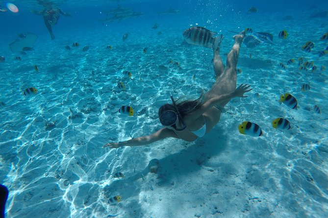 Toa Boat Bora Bora Private Lagoon tour On Ambassador Boat - Who this tour fits best, and who might want another approach