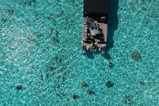 Toa Boat Bora Bora Private Lagoon Tour On Entertainer Bar Boat - Your 4 Hours on the Water, Starting at 9:00 am