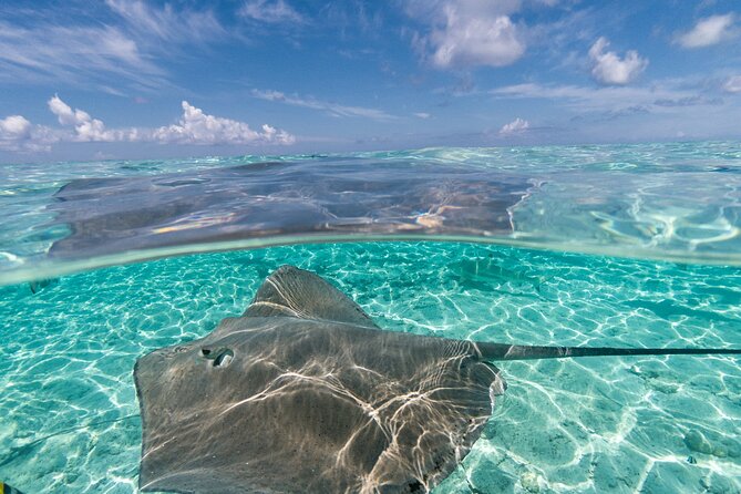 Toa Boat Bora Bora Private Lagoon tour On Majestic Pontoon Boat - Is the “Bring Your Own Stuff” Story a Red Flag?