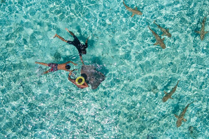 Toa Boat Bora Bora Private Lagoon tour On Majestic Pontoon Boat - The 4-Hour Flow on the Lagoon: Cruise, Snorkel Stops, and Island Time