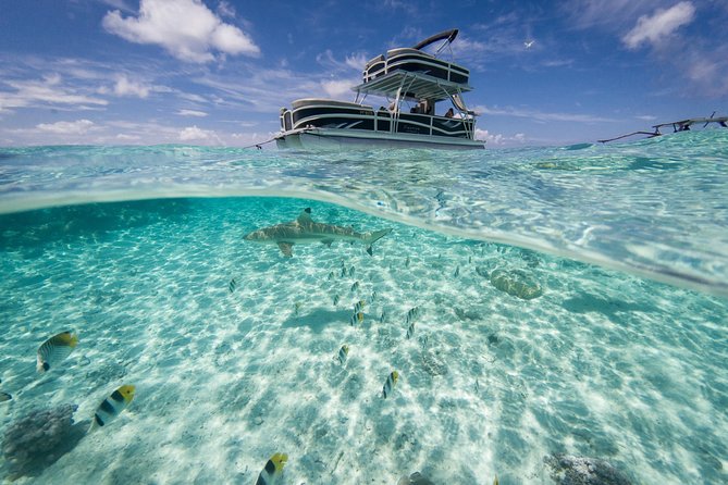 Toa Boat Bora Bora Private Lagoon tour with Lunch on Ambassador Boat - Snorkeling gear and towels, no packing puzzle