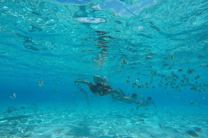 Toa Boat Bora Bora Private Lagoon tour with Lunch on Entertainer Bar Boat - Drinks, music, and the comfort details that keep it relaxing